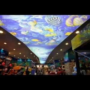 Dijital Baskılı Germe Tavan